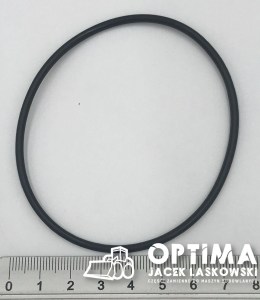 295204R1A 2